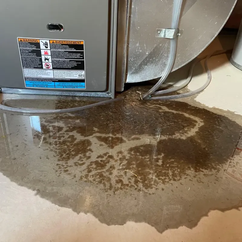 Appliance Leak Cleanup in Stagecoach, NV